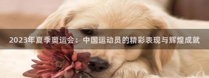2023年夏季奥运会：中国运动员的精彩表现与辉煌成就