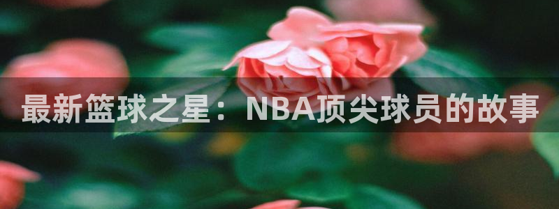 最新篮球之星：NBA顶尖球员的故事