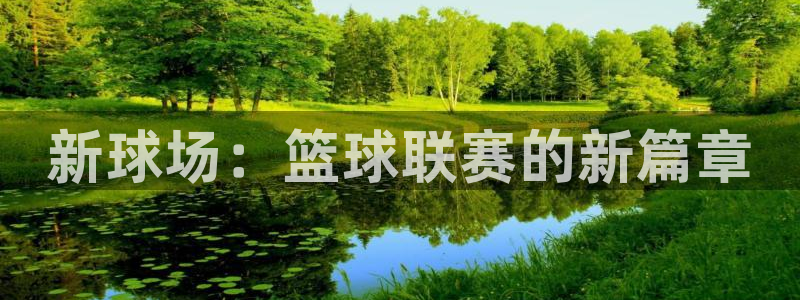 新球场：篮球联赛的新篇章