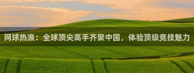网球热浪：全球顶尖高手齐聚中国，体验顶级竞技魅力