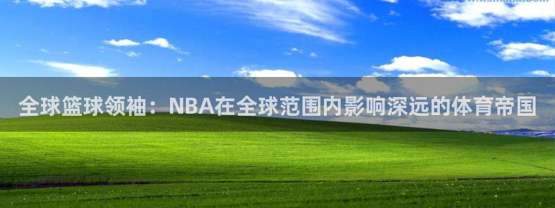 全球篮球领袖：NBA在全球范围内影响深远的体育帝国
