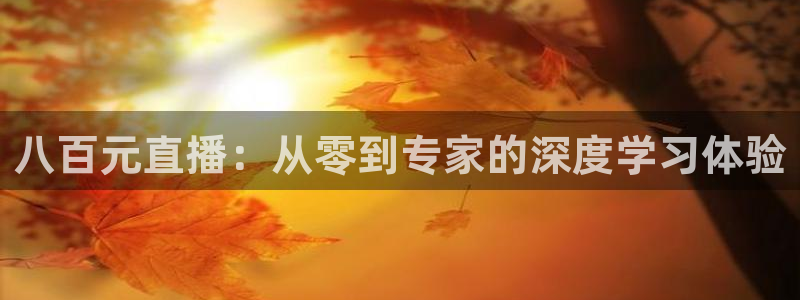 八百元直播：从零到专家的深度学习体验