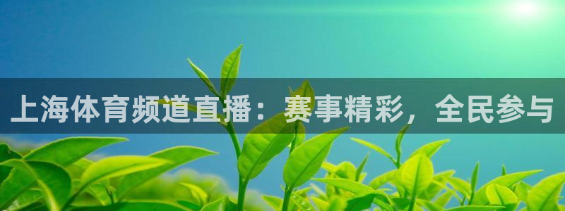上海体育频道直播：赛事精彩，全民参与