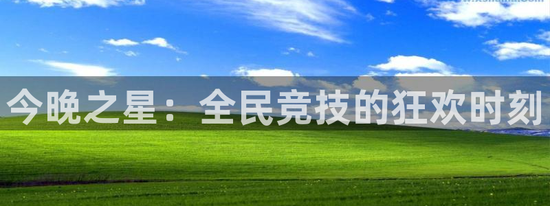 今晚之星：全民竞技的狂欢时刻