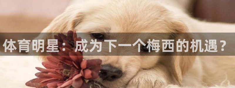 体育明星：成为下一个梅西的机遇？