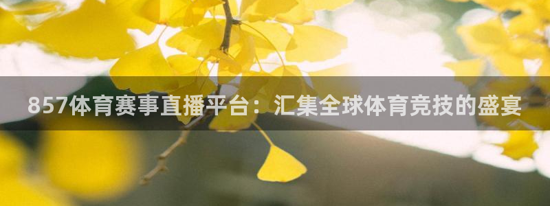 857体育赛事直播平台：汇集全球体育竞技的盛宴
