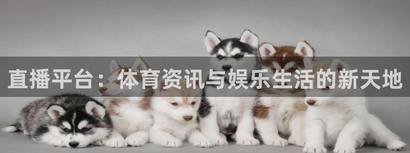 直播平台：体育资讯与娱乐生活的新天地