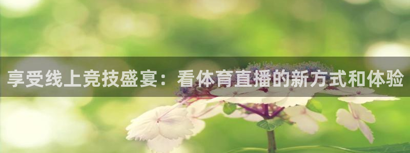 享受线上竞技盛宴：看体育直播的新方式和体验
