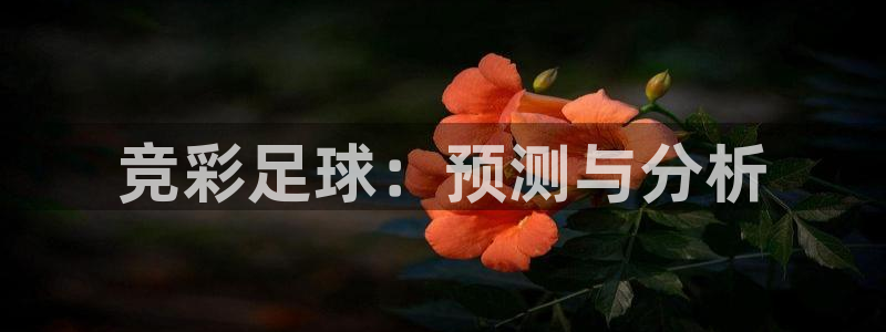 竞彩足球：预测与分析