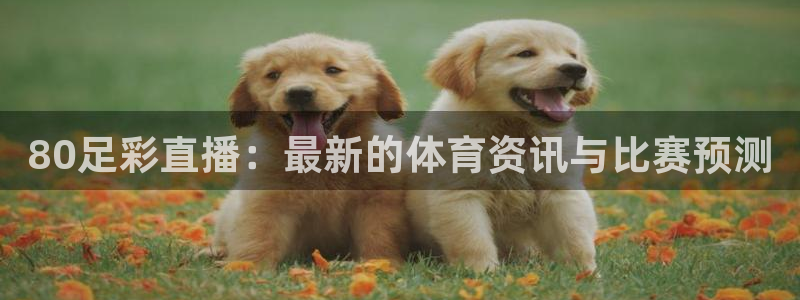 80足彩直播：最新的体育资讯与比赛预测