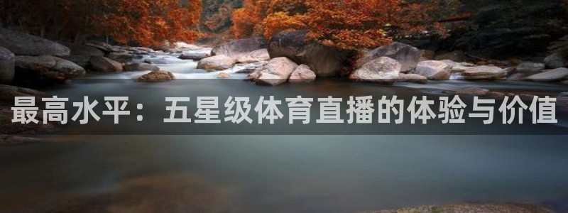 最高水平：五星级体育直播的体验与价值
