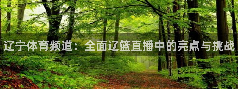辽宁体育频道：全面辽篮直播中的亮点与挑战