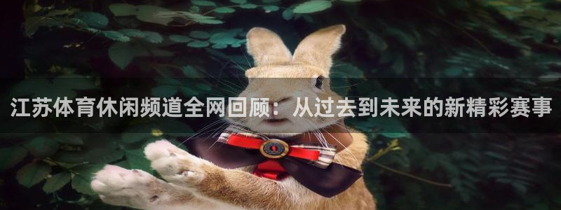 江苏体育休闲频道全网回顾：从过去到未来的新精彩赛事
