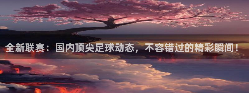 全新联赛：国内顶尖足球动态，不容错过的精彩瞬间！