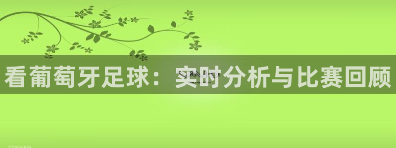 看葡萄牙足球：实时分析与比赛回顾