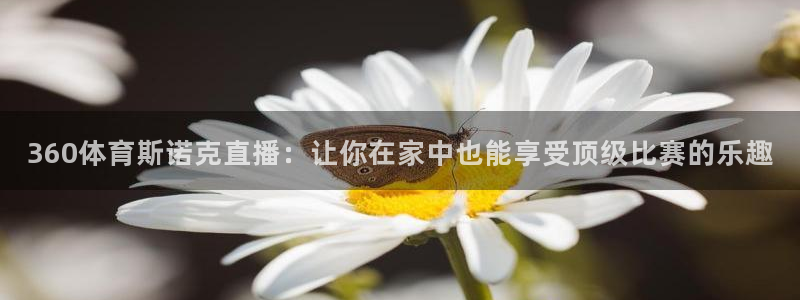 360体育斯诺克直播：让你在家中也能享受顶级比赛的乐趣