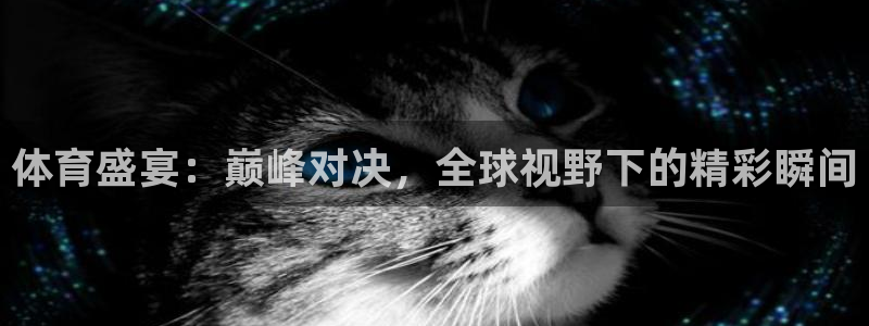 体育盛宴：巅峰对决，全球视野下的精彩瞬间