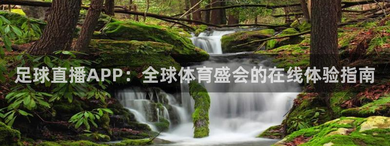 足球直播APP：全球体育盛会的在线体验指南