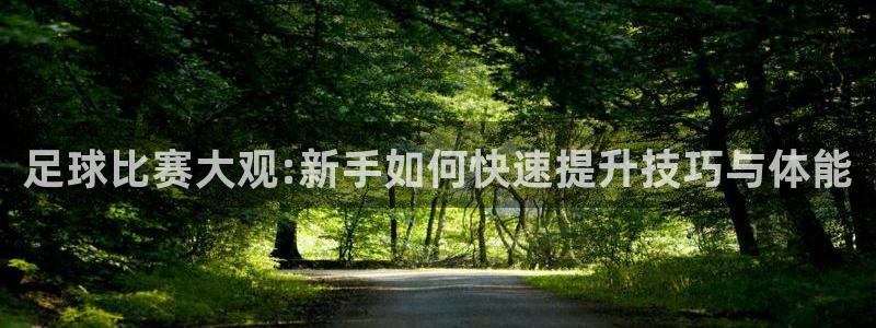 足球比赛大观:新手如何快速提升技巧与体能