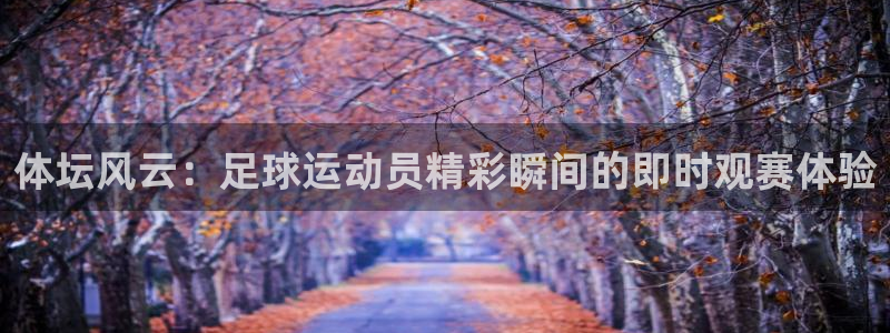 体坛风云：足球运动员精彩瞬间的即时观赛体验