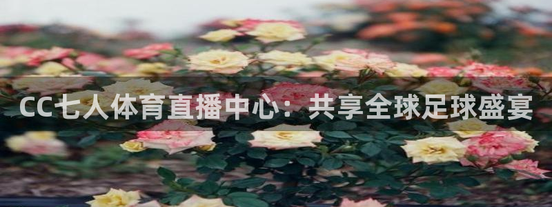 CC七人体育直播中心：共享全球足球盛宴