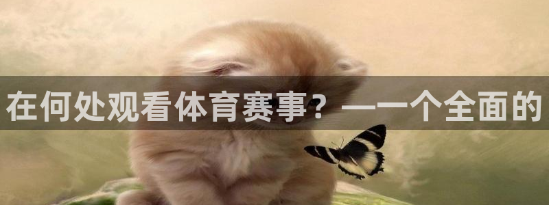 在何处观看体育赛事？—一个全面的