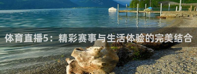 体育直播5：精彩赛事与生活体验的完美结合