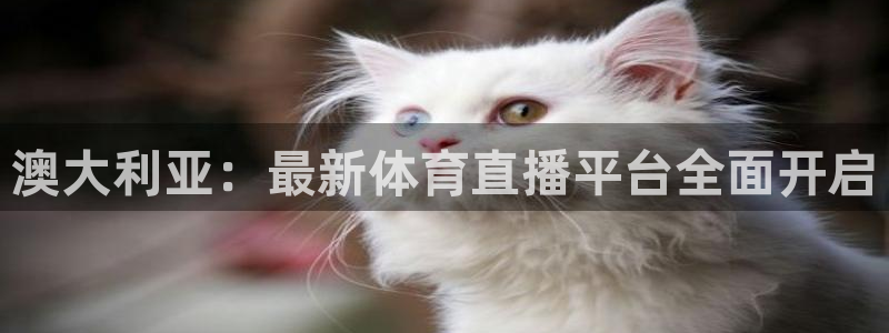 澳大利亚：最新体育直播平台全面开启