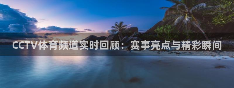 CCTV体育频道实时回顾：赛事亮点与精彩瞬间
