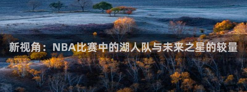 新视角：NBA比赛中的湖人队与未来之星的较量