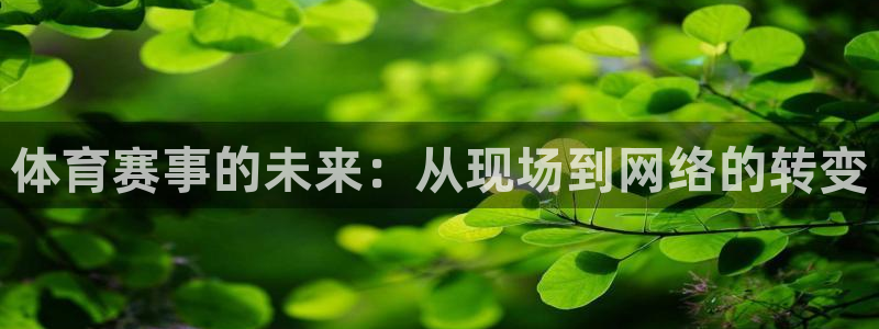 体育赛事的未来：从现场到网络的转变