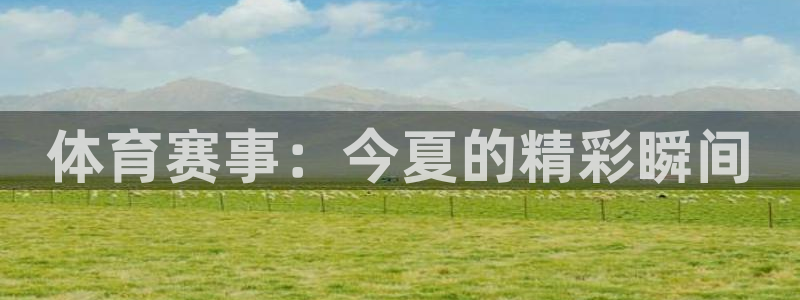 体育赛事：今夏的精彩瞬间
