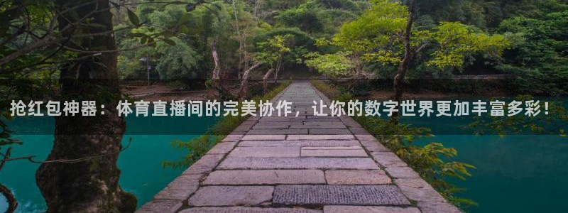 抢红包神器：体育直播间的完美协作，让你的数字世界更加丰富多彩！