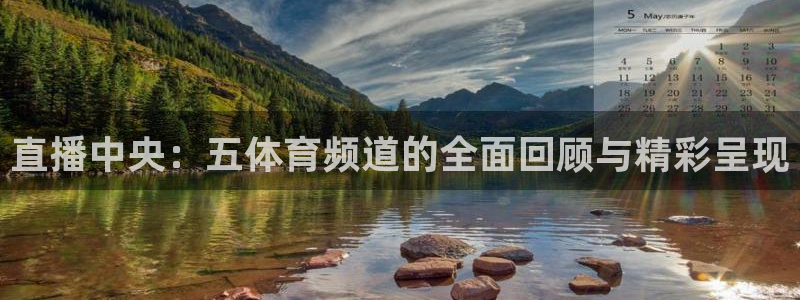 直播中央：五体育频道的全面回顾与精彩呈现