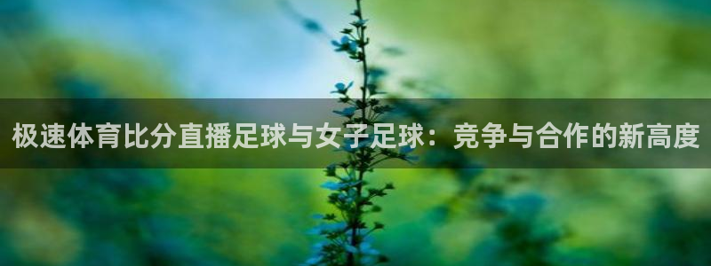 极速体育比分直播足球与女子足球：竞争与合作的新高度