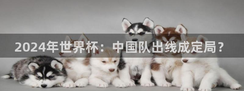 2024年世界杯：中国队出线成定局？