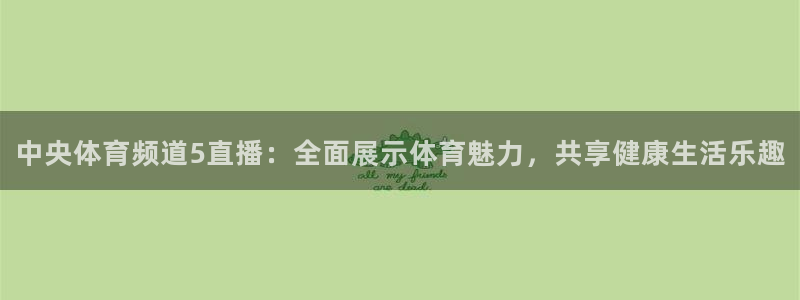 中央体育频道5直播：全面展示体育魅力，共享健康生活乐趣