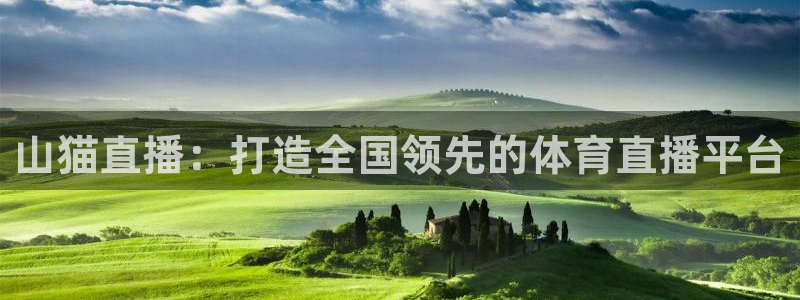 山猫直播：打造全国领先的体育直播平台