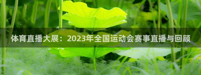 体育直播大展：2023年全国运动会赛事直播与回顾