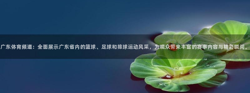 广东体育频道：全面展示广东省内的篮球、足球和排球运动风采，为观众带来丰富的赛事内容与精彩瞬间。