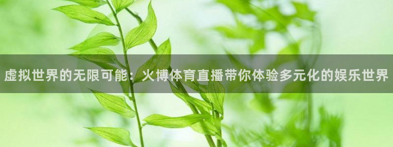 虚拟世界的无限可能：火博体育直播带你体验多元化的娱乐世界
