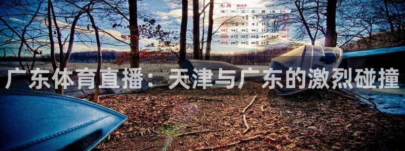 广东体育直播：天津与广东的激烈碰撞