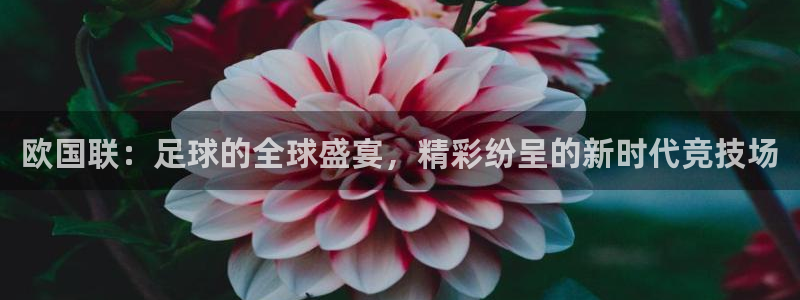 欧国联：足球的全球盛宴，精彩纷呈的新时代竞技场