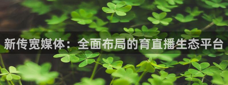 新传宽媒体：全面布局的育直播生态平台