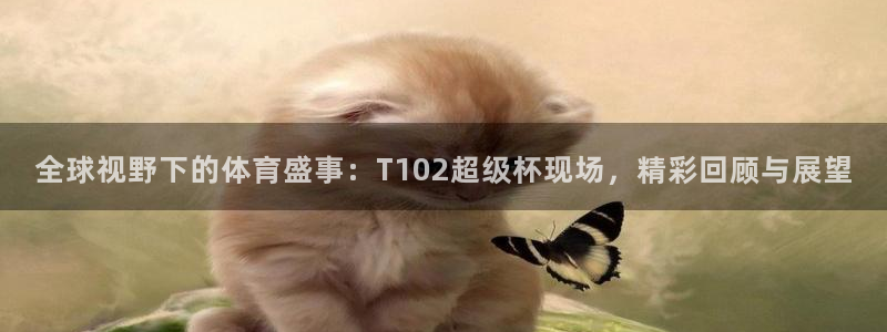 全球视野下的体育盛事：T102超级杯现场，精彩回顾与展望