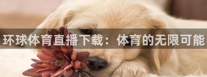 环球体育直播下载：体育的无限可能