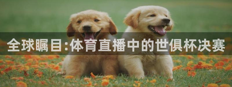 全球瞩目:体育直播中的世俱杯决赛