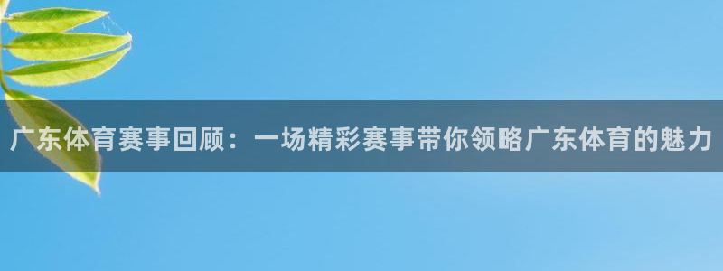 广东体育赛事回顾：一场精彩赛事带你领略广东体育的魅力
