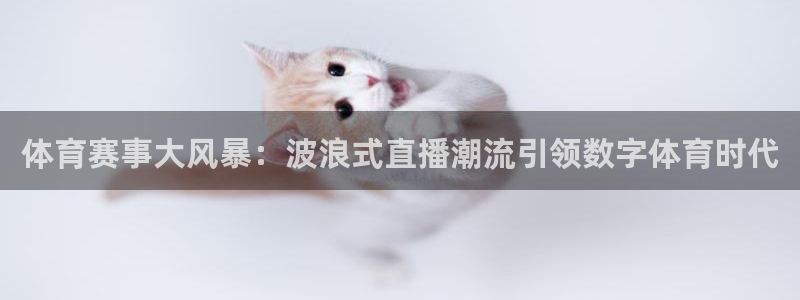 体育赛事大风暴：波浪式直播潮流引领数字体育时代