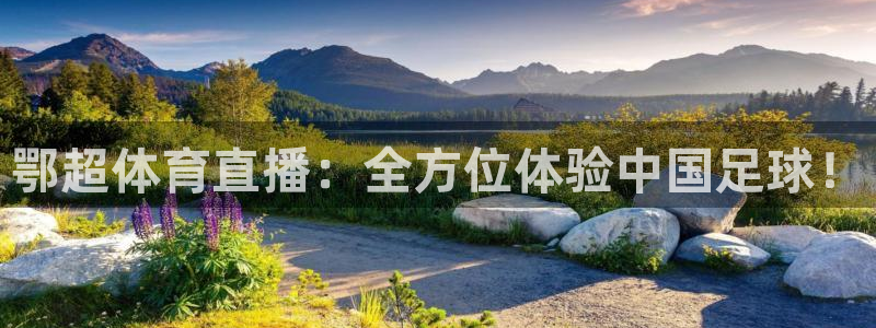 鄂超体育直播：全方位体验中国足球！